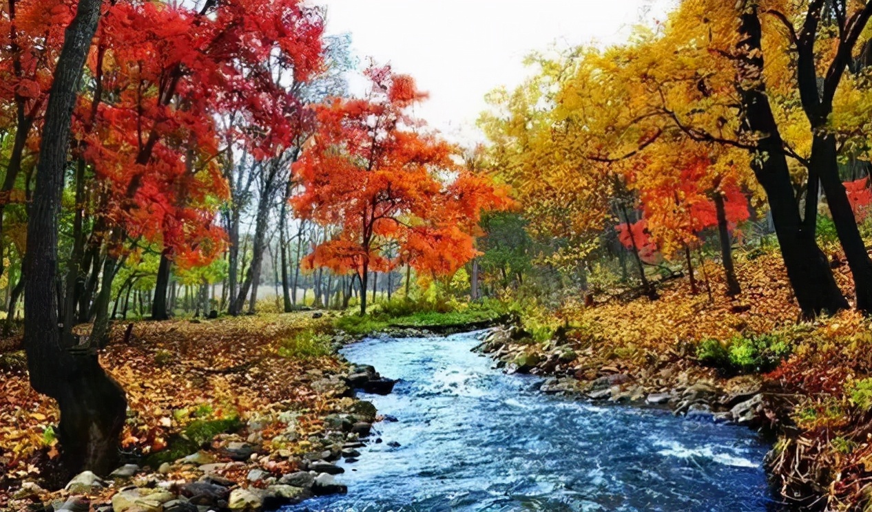 古诗山行的诗意，十二首有关山行的诗词，欣赏山中美丽的秋色