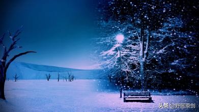 原创抒情散文诗《守候今夜，一场雪和孤独的盛放》