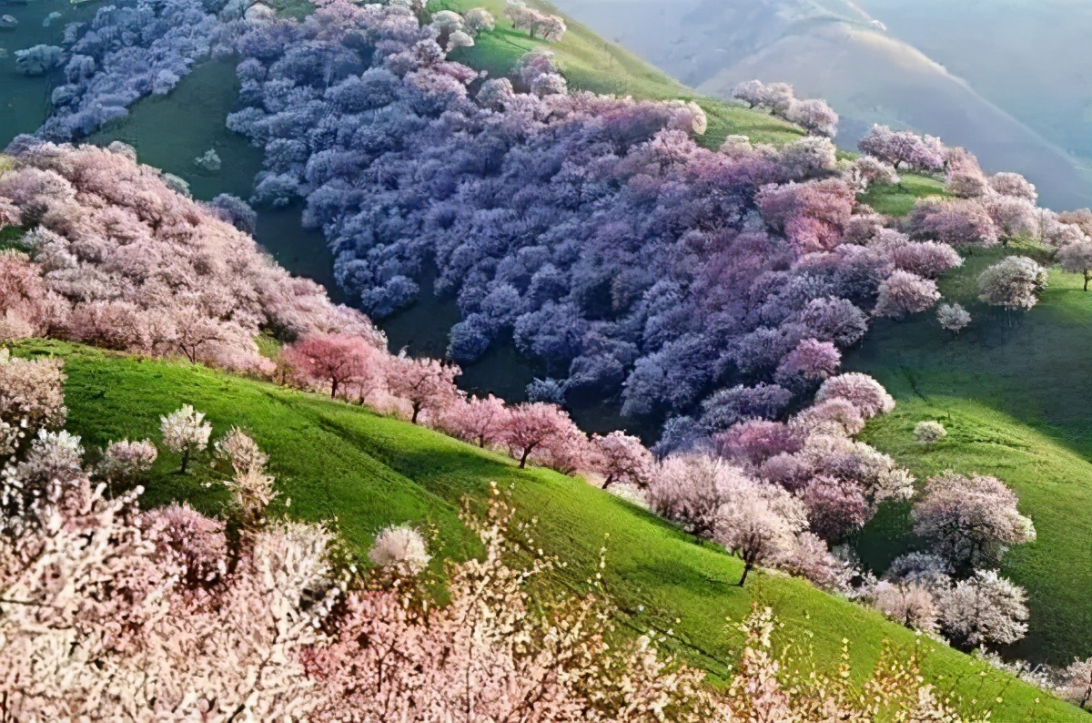 中国春季必去的八大美景，你都看过了吗？