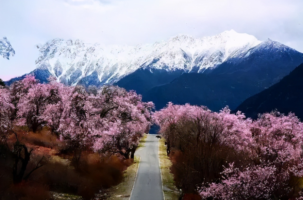 中国春季必去的八大美景，你都看过了吗？