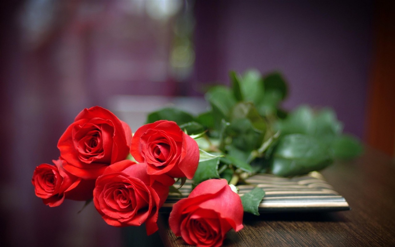 莎士比亚十四行诗：赏玫瑰纯真之美